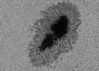 Image of AR 10008 (C)