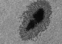 Image of AR 10008 (G)