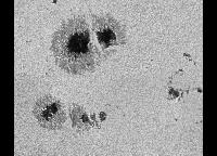 Image of AR 10019 (Blue cont.)