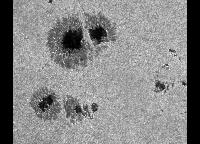 Image of AR 10019 (G Band)