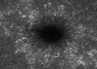 Image of AR 10351 (Ca II H)