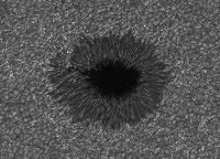 Image of AR 10351 (G Band)