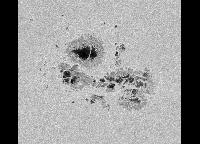 Image of AR 10375 (Red cont.)