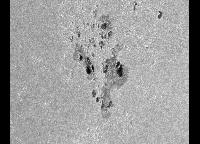 Image of AR 10386 (Red cont.)