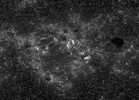 Image of AR 10407 (Ca II H)