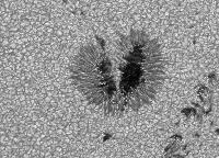 Image of AR 10682 (Blue cont.)