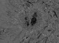 Image of AR 10682 (H-alpha)