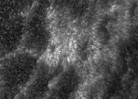 Image of AR 10780 (Ca II H)