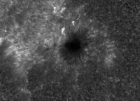 Image of AR 10781 (Ca II H)