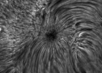 Image of AR 10781 (H-alpha)