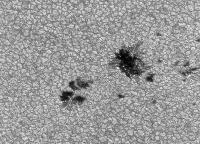 Image of AR 10782 (Blue cont.)