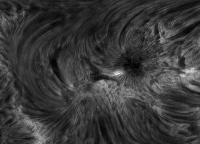 Image of AR 10782 (H-alpha)