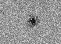 Image of AR 10781 (Blue cont.)