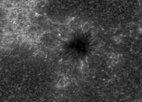 Image of AR 10781 (Ca II H)