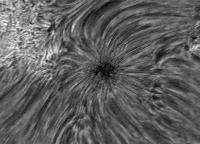 Image of AR 10781 (H-alpha)