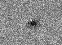 Image of AR 10781 (Blue cont.)