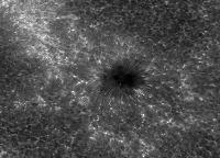 Image of AR 10781 (Ca II H)