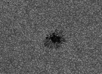 Image of AR 10781 (G Band)