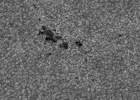 Image of AR 10781 (G Band)