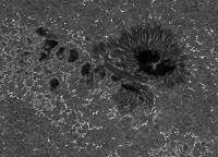 Image of AR 10786 (Ca II H)