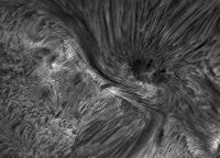 Image of AR 10786 (H-alpha)