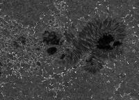 Image of AR 10786 (Ca II H)