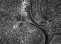 Image of AR 10786 (H-alpha)