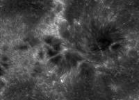 Image of AR 10786 (Ca II H)