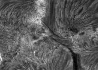 Image of AR 10786 (H-alpha)