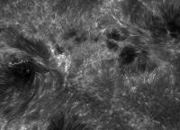 Image of AR 10786 (Ca II H)