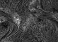 Image of AR 10786 (H-alpha)