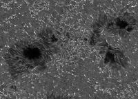 Image of AR 10786 (Ca II H)