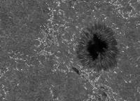 Image of AR 10786 (Ca II H)