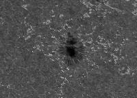 Image of AR 10789 (Ca II H)