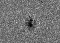 Image of AR 10789 (G Band)