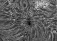 Image of AR 10789 (H-alpha)