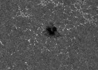 Image of AR 10789 (Ca II H)