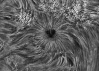 Image of AR 10789 (H-alpha)