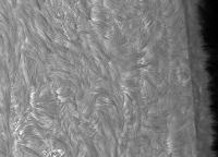 Image of Quiet Sun limb (H-alpha)