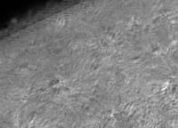 Image of solar pole (H-alpha)