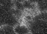 Image of AR 10815 (Ca II H)