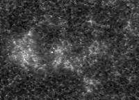 Image of AR 10870 (Ca II H)