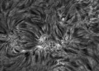 Image of AR 10870 (H-alpha)