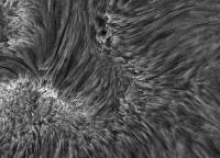 Image of AR 10874 (H-alpha)