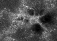 Image of AR 10875 (Ca II H)