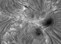 Image of AR 10875 (H-alpha)