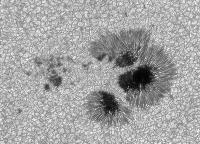 Image of AR 10875 (Blue cont.)