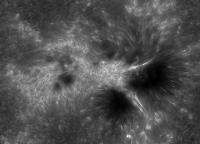 Image of AR 10875 (Ca II H)