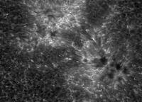 Image of AR 10879 (Ca II H)