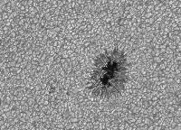 Image of AR 10880 (Blue cont.)